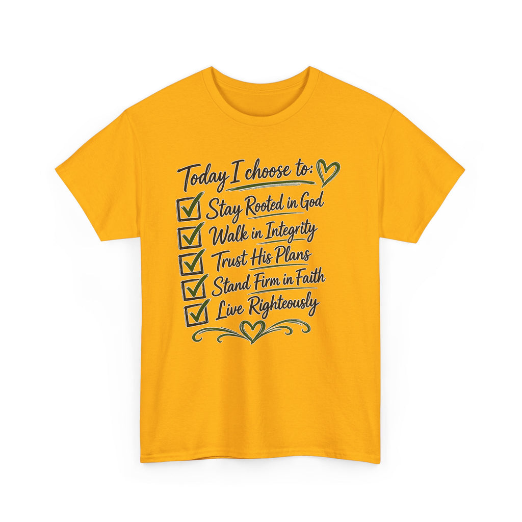 Today i choose Heavy Cotton Tee