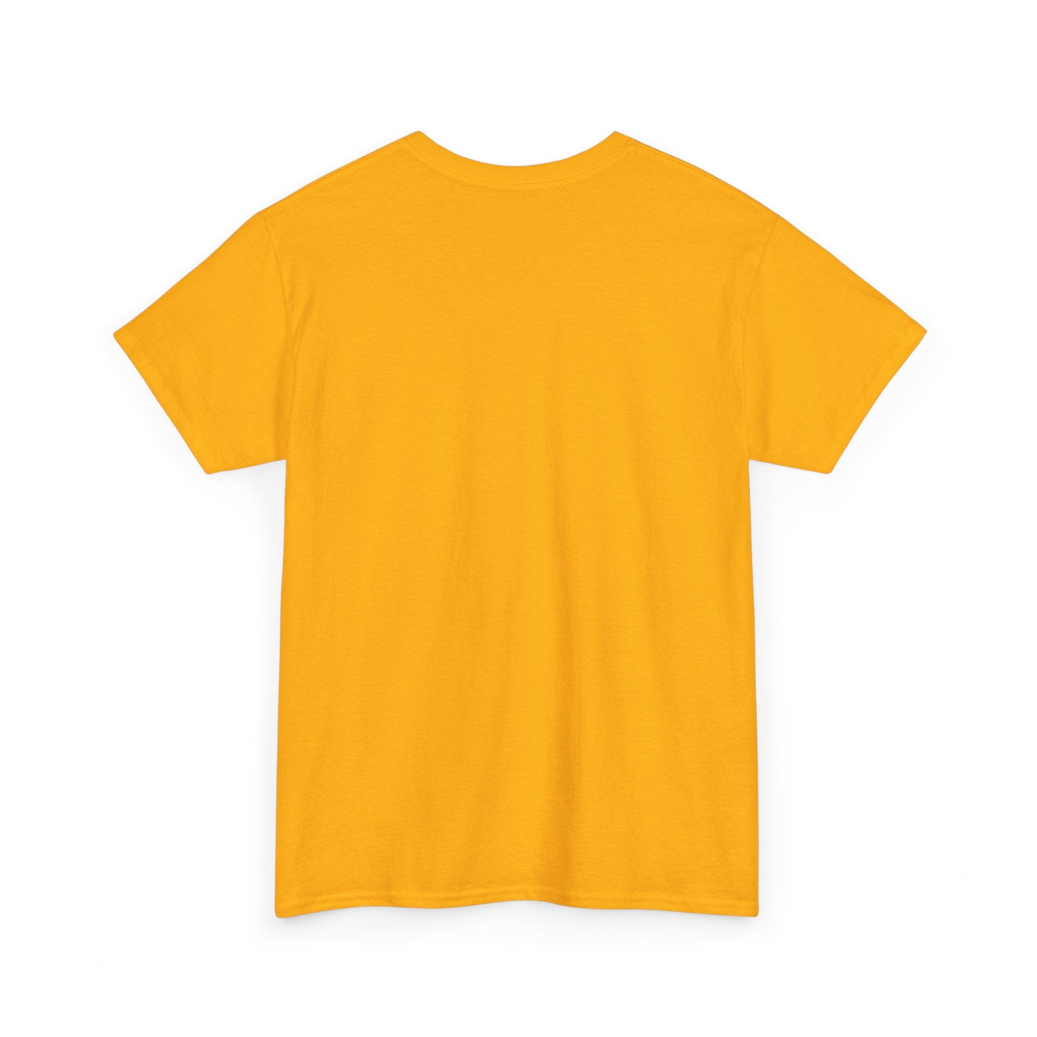 Today i choose Heavy Cotton Tee