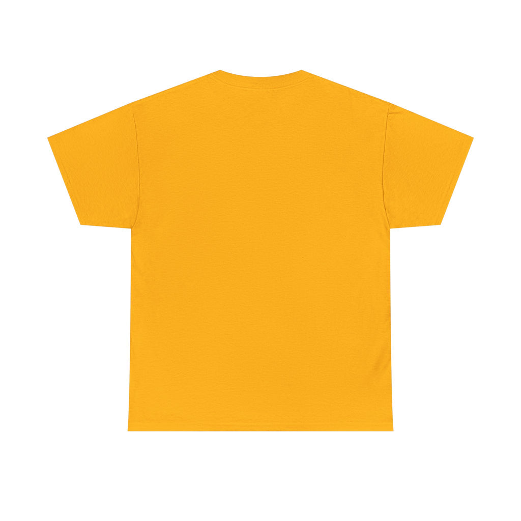 Today i choose Heavy Cotton Tee