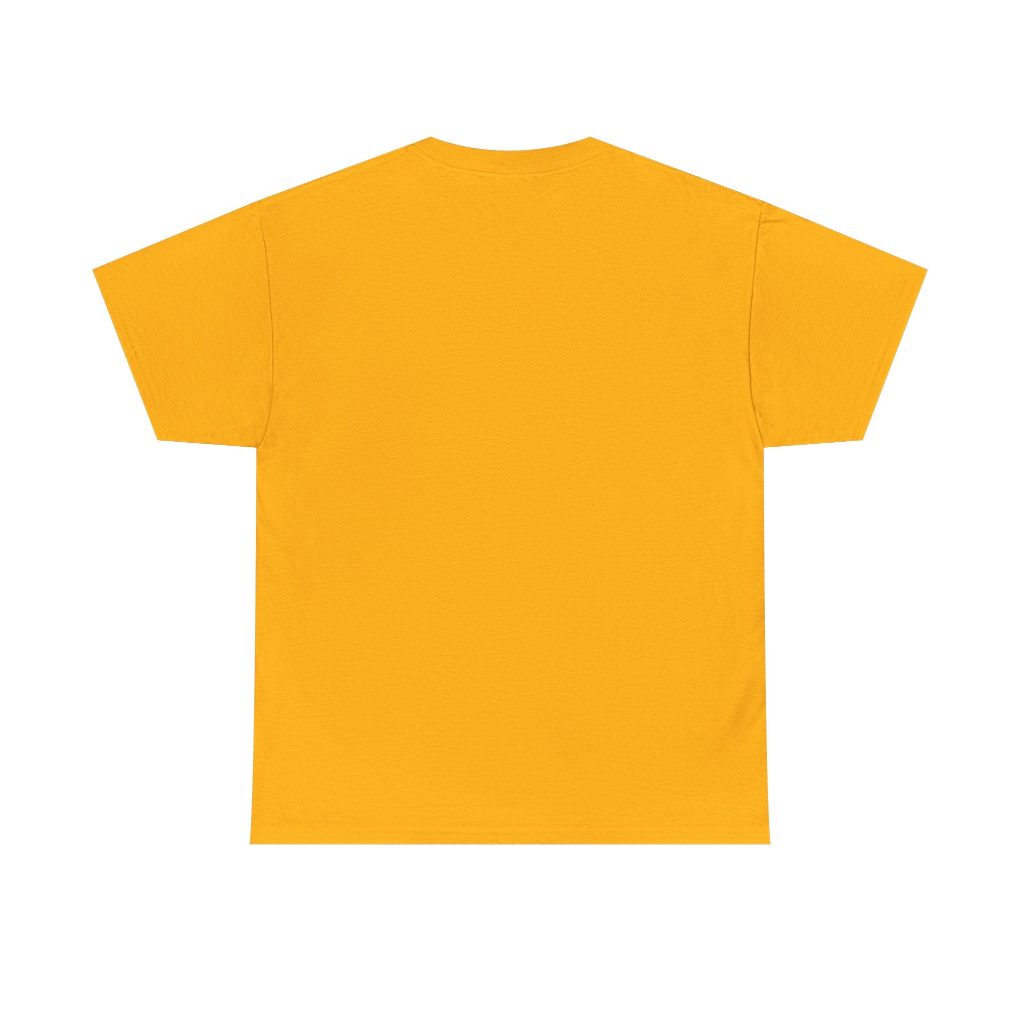 Today i choose Heavy Cotton Tee