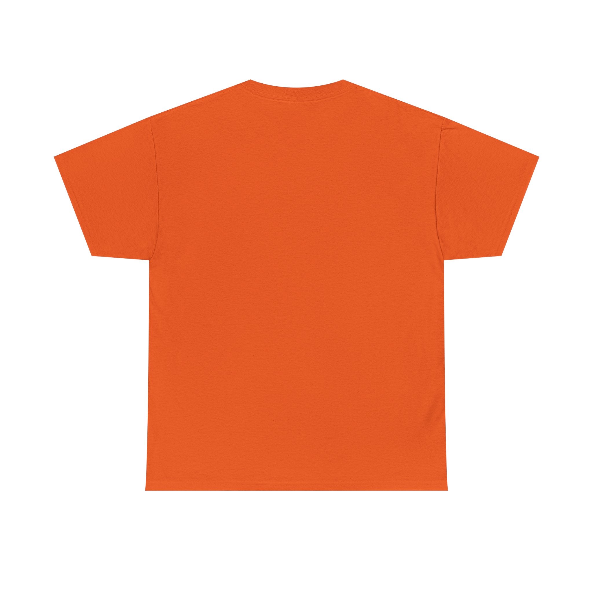 Today i choose Heavy Cotton Tee