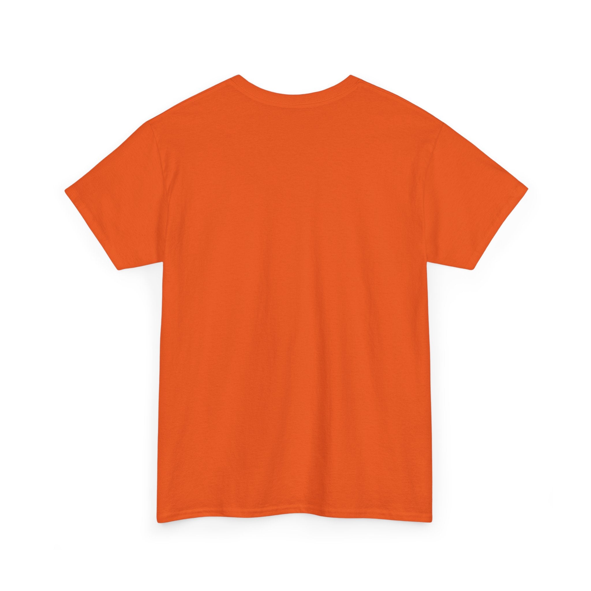 Today i choose Heavy Cotton Tee